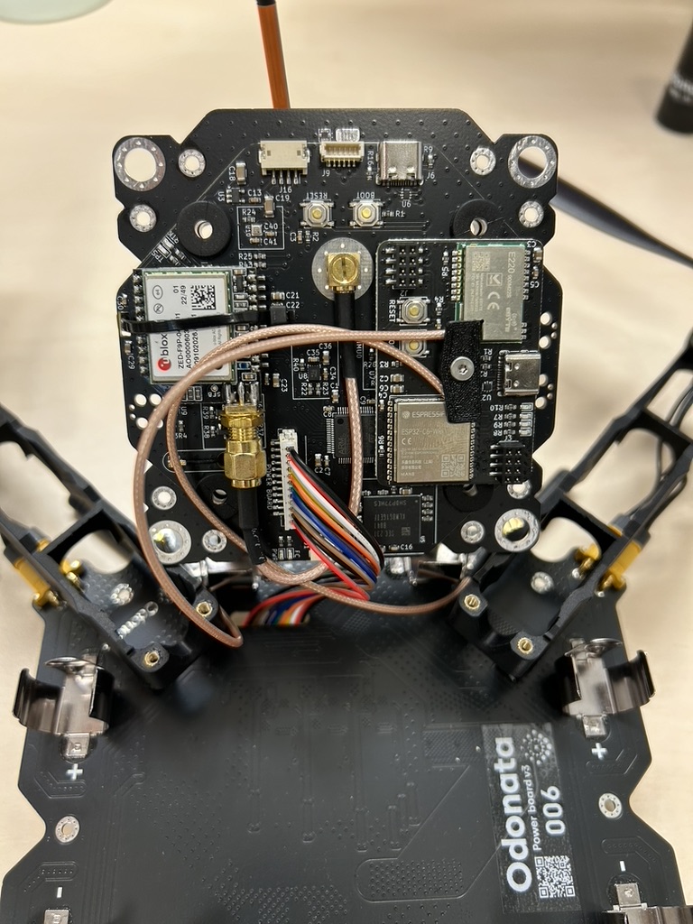 Conception technique et assemblages Odonata
